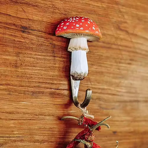 Hand Carved Toadstool Hook