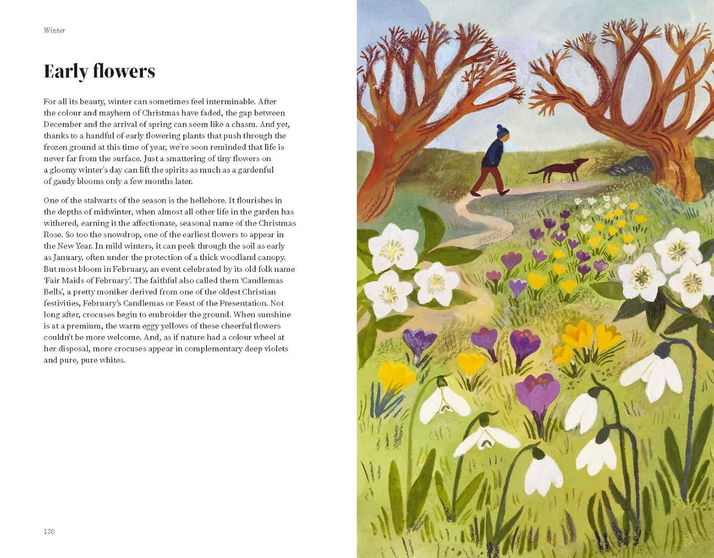 The Wildlife Year