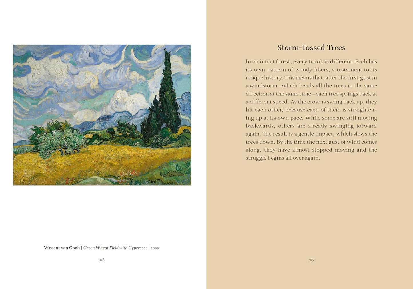 Wisdom from the hidden life of trees