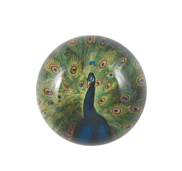 John Derian Peacock Close Up Dome Paperweight