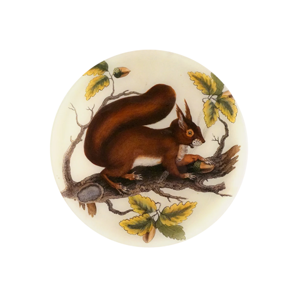 John Derian Red Squirrel 13 Inch Round Plate