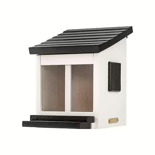 Squirrel Feeder