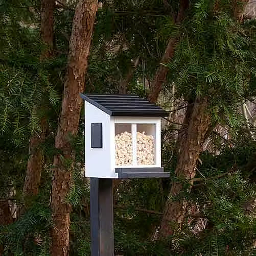 Squirrel Feeder