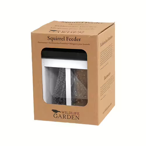 Squirrel Feeder