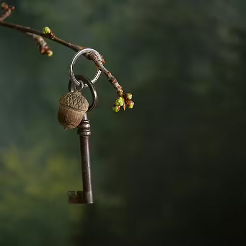 Acorn Keyring
