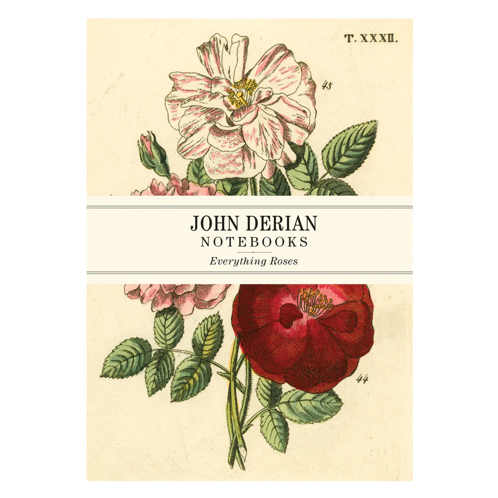 John Derian Everything Roses Notebooks  Set