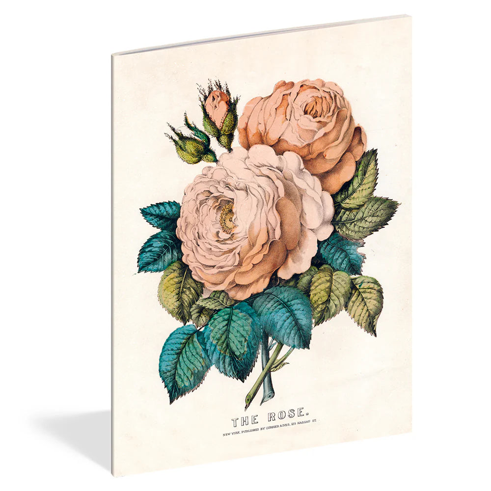 John Derian Everything Roses Notebooks  Set