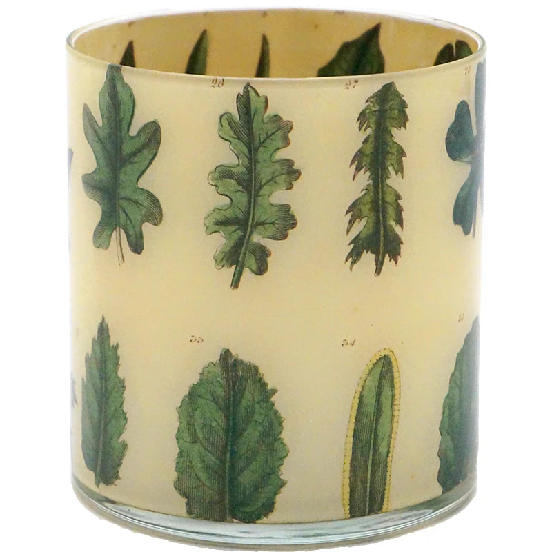 Leaf Specimen Desk Cup