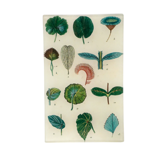 John Derian Leaves 5 x 8  Cell Phone Tray