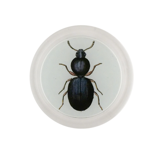 John Derian Ant-like Stone Beetle 6 Inch Coaster
