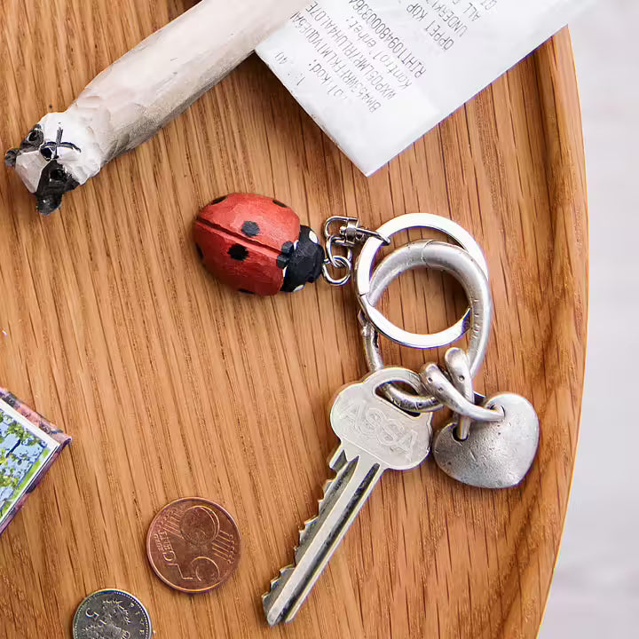 Ladybird Keyring