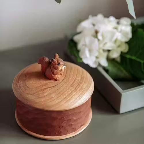 Wooden Squirrel Box