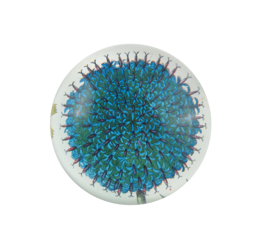 John Derian Blue Flower Dome Paperweight