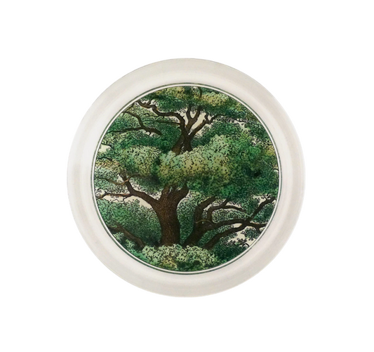 John Derian Branches 6 Inch Coaster