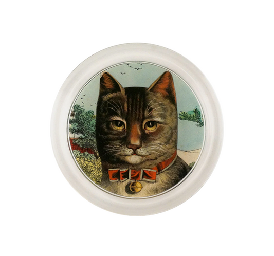 John Derian Country Cat 6 Inch Coaster