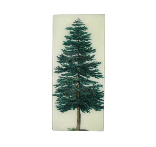 John Derian Evergreen tree 6.5 x 14.5  Tray