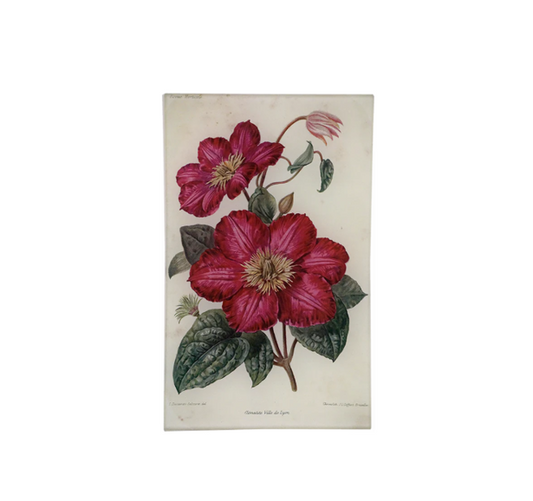 John Derian Clematite Ville de Lyon 5 x 8  Cell Phone Tray
