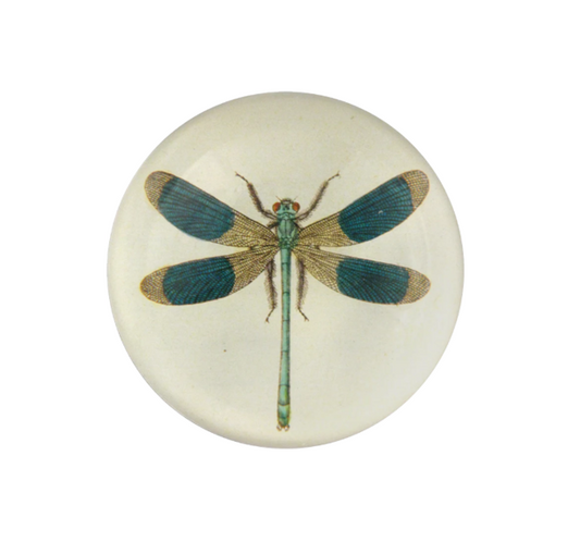 John Derian Dragonfly  Dome Paperweight