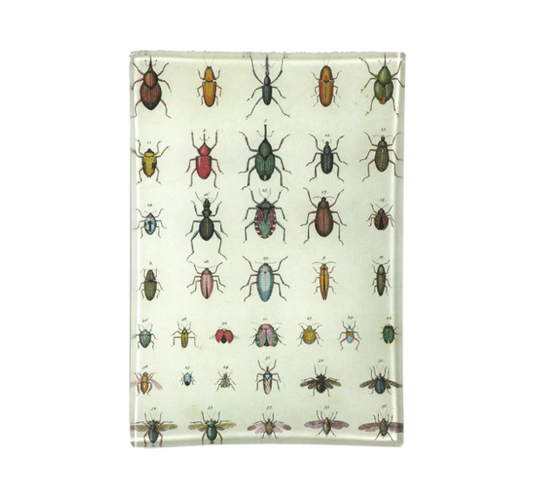 John Derian Torn Insects 4.5 x 6.5 Mini Tray