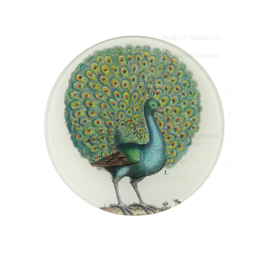 John Derian Coy Peacock 5/14 Inch Round Plate