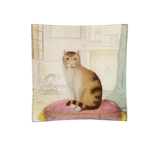 John Derian Calm Cat Un Vide Poche 6  Square Tray