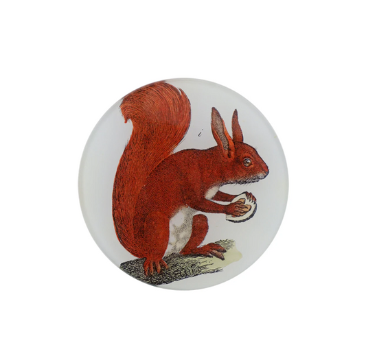 John Derian Red Squirrel 4 Inch Round Plate